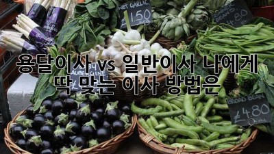 용달이사 vs 일반이사: 나에게 딱 맞는 이사 방법은?
